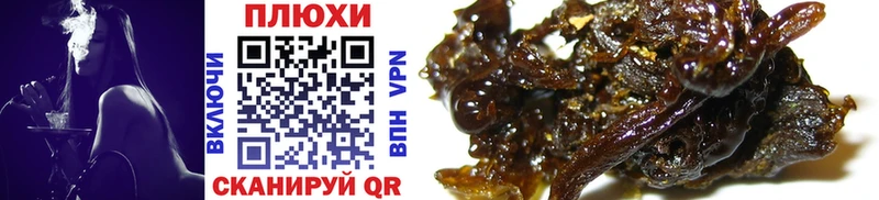 hydra как зайти  где продают наркотики  Сураж  ГАШИШ ice o lator 