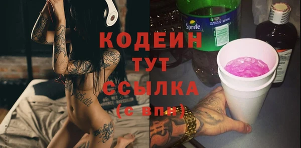 крисы Няндома