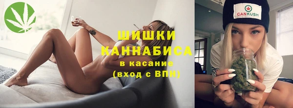 гидропоника Алзамай