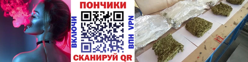 Канабис LSD WEED  где купить наркоту  Сураж 